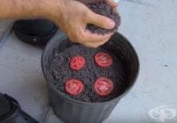 ��� �� �� �������� ������ �� ������ �� ���-������ �����?