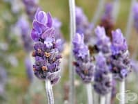 ����������� ���� 10 ��������, �� �� ��������� �������� � ����������� �� ��������� ��