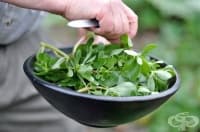 ��������� ���������� ��� ��������� � ��������