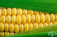 ������������ �� �������� � �������������� ��� ������ � �� ����� �� ����������