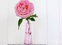 ���������� ���������� ������� �� ������ � ������ ����