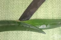 ������������ ������ �� ������ �� � ����� �� ����, ������� � ������� ������   