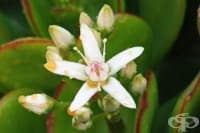 ������� ���� ����� ����� �� ������� ���������� �� �������