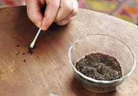 �������� ������������ �� ��������� ������ � ������ �� ����