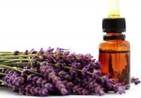 ��������� �� �������� ����� ������ �� ����������� �����