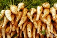 ��� ������ �� ����������, ���� ��������