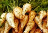 ������������ �� �������� � �������������� �� ����� �� ����������