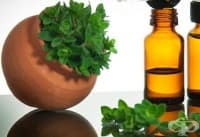 �� ���������� ��� ����� ��������, ������������ ����� �� �����  