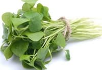 ��������� ������������ ��� ����� ������ �� ��������