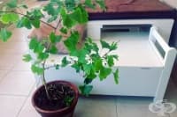 ������� ���� ����� ����� �� ������� ���������� �� ����� ������