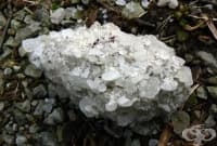 �������� ���� �� ������ �� � ������� ���