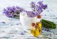 ����� ����� �� ����������� � ����� �� ����� � ����������� �����