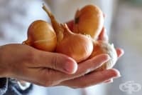 ������ �������� � ��������� ������� �� ������ � ���, ������ � ����