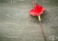 ����������� �������� �� ���������� �� �������