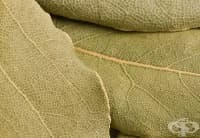 ������ ��������� �� ���� � ������� ����