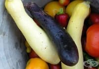 ��������� ������ �� ������ � ������ � ����� �� ��������, ������� � ���