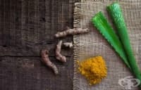 ��������� �� ����� �� ������ � ������ ���� �� ����, ����, ������ ����� � �������  