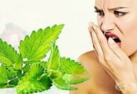 ������������ ����� ��� �� ��� � �����