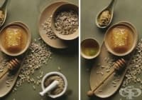 ��������� �� ����� �� ������������ ���� �� ���, ������ � ����������