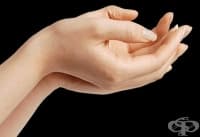 ������������ ������ �� ������ � ����� �� �������� ������, ������ � ���