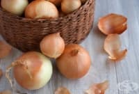 ������ ��������� �� ���� ��� ��� �� ���   