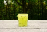 Направете си ексфолиант за устни от киви и масло от гроздови семки