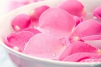 ����� 5 ������ �� ���������� � ����������� �� ������ � ������ ���� 