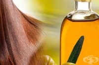 ������������ ������ �� � � �������� ������ � ���� �� ������ � �������� �����