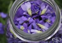 ��������� �� ��������� ����� �� ���� �� ������ ����� � ��������