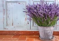 �������� 10 ���������� ���������� �� ���������� ����� �� ���������