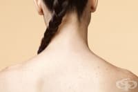 ��������� ������ �� ������ � 5 �������� ��������