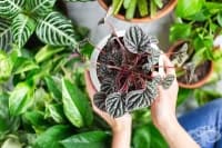 ���������� ������� � 6 �������� �� �������