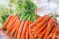 ��������� �� ��������� ������ �� ������� �� �����������