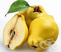 ��� ������ �� �����, ������� �� ������ ����