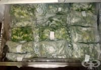 �������� �� �����, ������, ������� � �������� � �������� �� ������