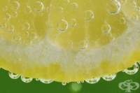 ��� �� ������� �������� ������ �� ���� �����?