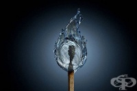 ��� �� �� �������� ���� �� ���?