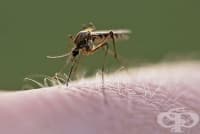 4 ������ �� ��������� ��������, ��� �� �������� ���������