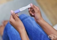 5 �������, ������ ����� �� ���� �� ������������