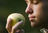 6 ����� �� ����������, �� ����� ����� �� �� � ������