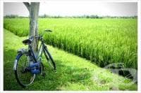 � ������ ��� ���� �� ����������� ���������� � ����������