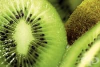 ��������� �� ���������� �� ������ �� ����, ����� � ������