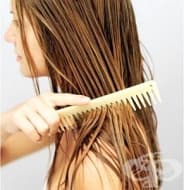 ��� ����� �������, ��������� ���������� ����� � �������