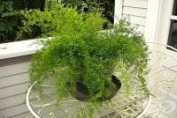 ��� �� �� ���� � ���� �� �� ������� �� �����, �������� ���� 10 ������ ��������