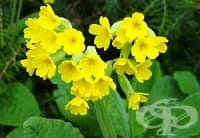 ��� �������� �� ���������� ��� ��������, ����� ��� �� ������