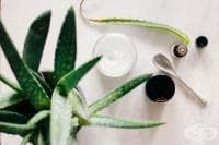 ��������� �� ���� �� �������� � ����, �������� ����� � �������� �����