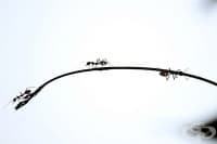 ����� �������� � ������� ����������� 2 �������� ������