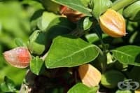 �������� ������ � ������� � ������ ����� � ���������