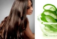 ��������� �� ������ ������ ������� � ����, ����� � ������� ���