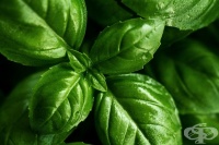 ����������� �������, �� �� ����� ��� ��� �������, ������� � �������� ��������